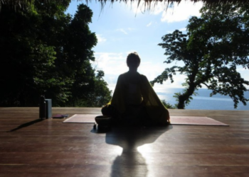 Who is Yogani of AYP